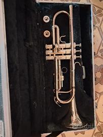tromba Roy-Benson con custodi