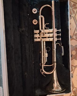 tromba Roy-Benson con custodi