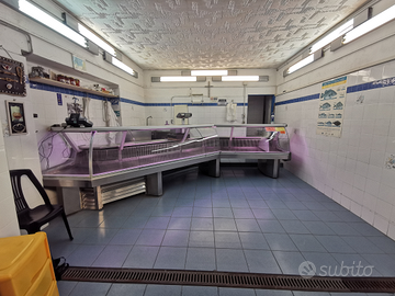 Banco da lavoro refrigerato e banco angolare