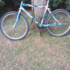 bicicletta mountain bike
