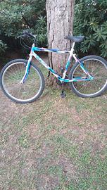 bicicletta mountain bike