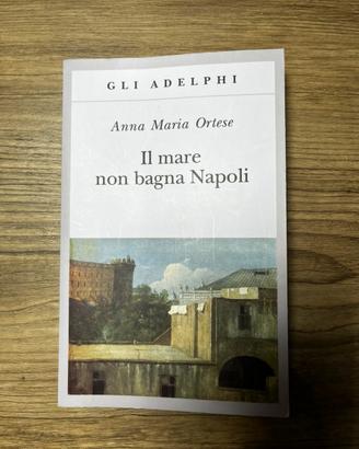 Libro “Il mare non bagna Napoli”