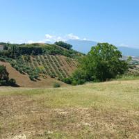 Terreno edificabile residenziale - Castorano