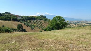 Terreno edificabile residenziale - Castorano