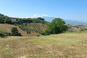 Terreno edificabile residenziale - Castorano