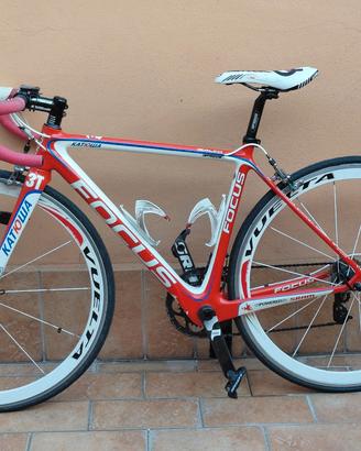 FOCUS IZALCO