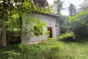 TER. AGRICOLO A BELLUNO