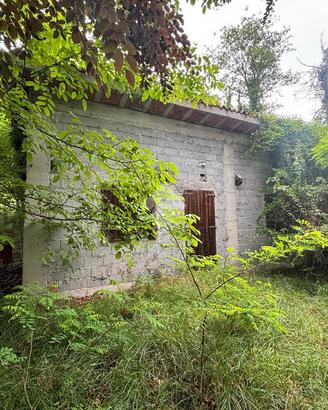 TER. AGRICOLO A BELLUNO