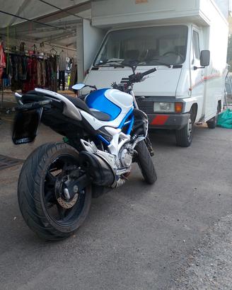 Suzuki Gladius 650
