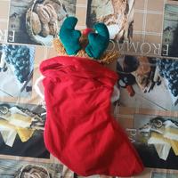 Calza befana