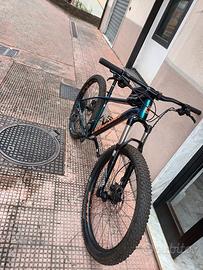 Mountain bike