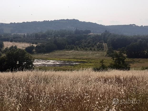 Grande appezzamento di terreno agricolo