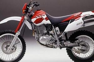 TELAIO TARGATO YAMAHA TTR 600 1995 2001