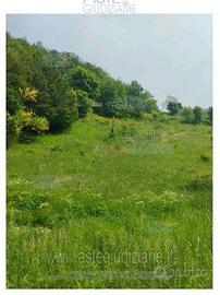 Terreno Agricolo Fanano [A4315732]