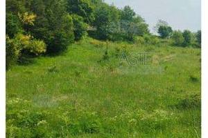 Terreno Agricolo Fanano [A4315732]