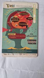 Scheda telefonica Ladatel Ciudad Mexico £ 50