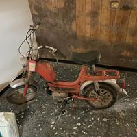 Rizzato mini califfo