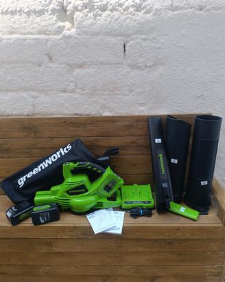 soffiatore aspirafoglie greenworks a batteria 