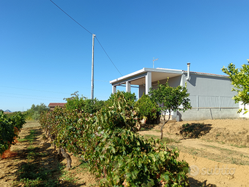 Terreno con casa