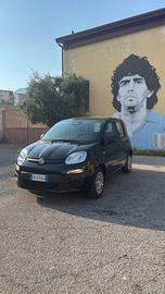 Fiat Panda 1.0 FireFly S&S Hybrid Pandina