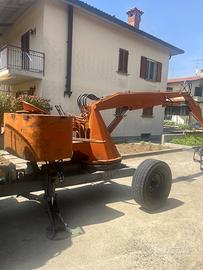 Caricaletame/legna