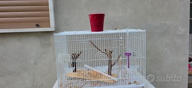 gabbia  per uccelli  