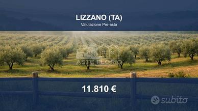 Immobile in asta di 10000 m² a Lizzano