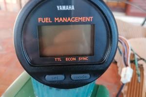Strumentazione yamaha