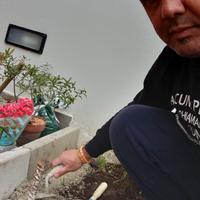 Autista personale accompagnatore tuttofare