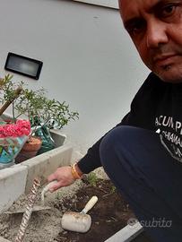 Autista personale accompagnatore tuttofare