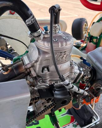 Motore 125 per Kart TM OK N senior