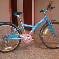 Bicicletta