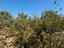 Immagine 26
