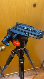 Cavalletto  Neweer  foto e video neweer n 555