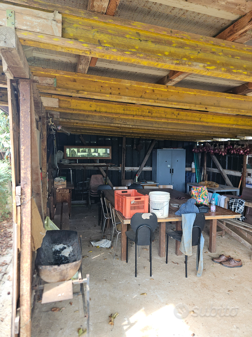 Terreno agricolo (Orto) - Vista 3