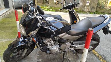 Hornet - solo 31 mila km!