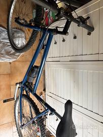 Bici azzurra