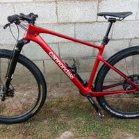 MTB cannondale