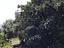 Immagine 12