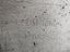 Immagine 24