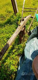 aratro antico veri Amatori 