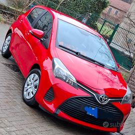 yaris