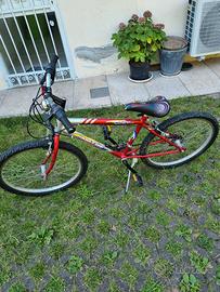 bicicletta ragazzo 