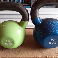 Pesi palestra 