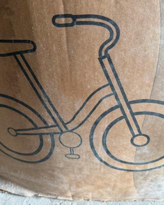 Bicicletta Fat Bike
