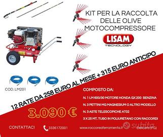 KIT RACCOLTA OLIVE LISAM LM201 600 LT BENZINA