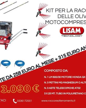 KIT RACCOLTA OLIVE LISAM LM201 600 LT BENZINA