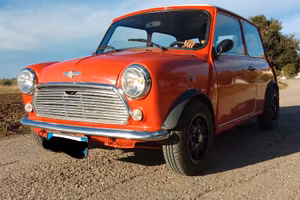 Mini rover myfire 1989 mille cc