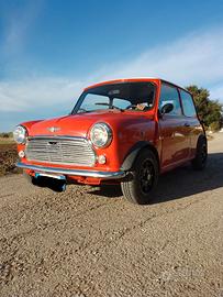 Mini rover myfire 1989 mille cc