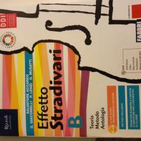 Effetto Stradivari B libro per scuole medie